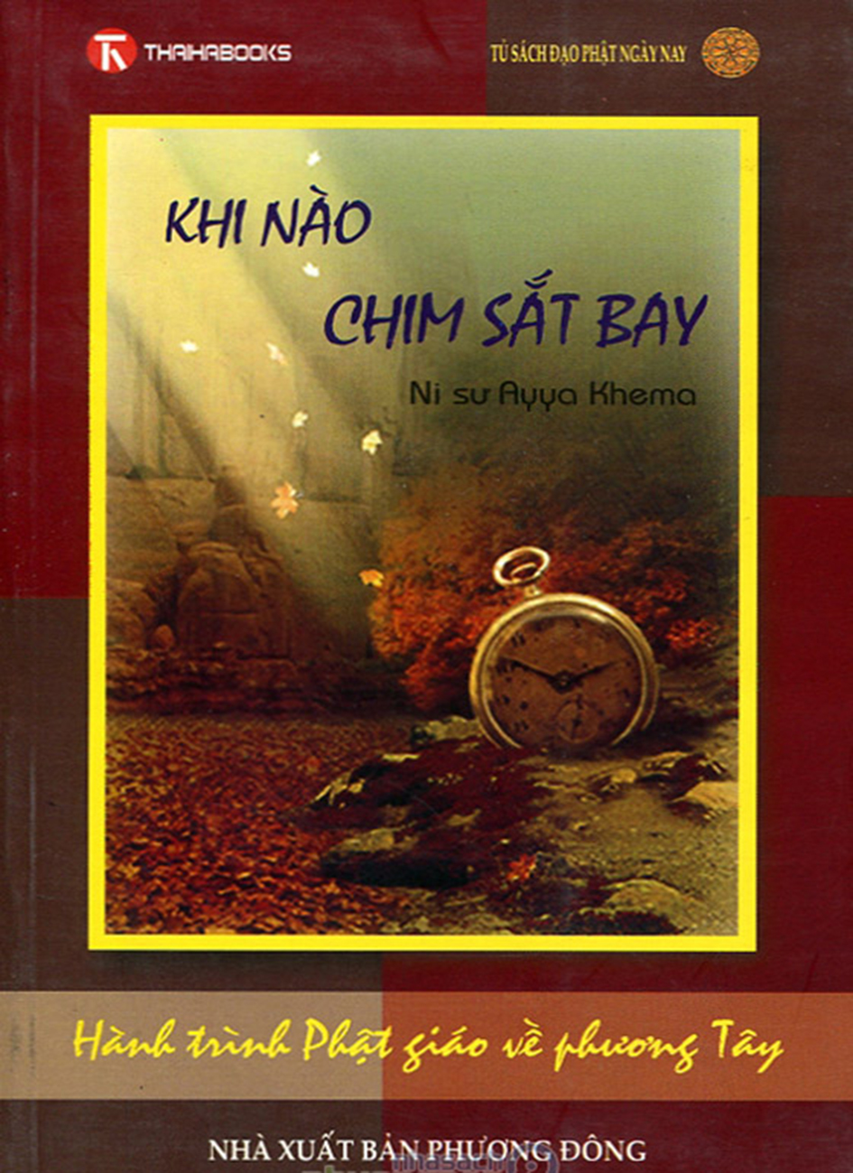 Khi Nao Chim Sat Bay